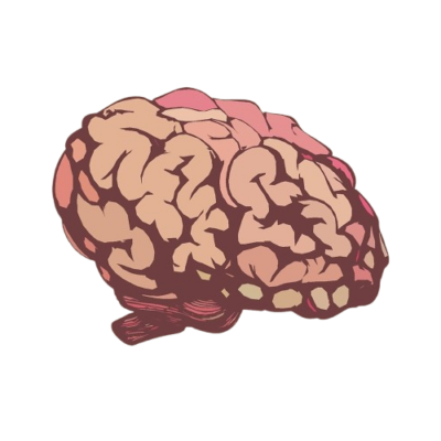 Cerebro color